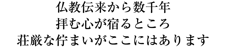 仏教伝来から数千年 拝む心が宿るところ 荘厳な佇まいがここにはあります